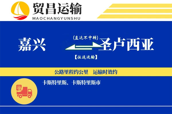 嘉兴到圣卢西亚物流专线 | 空运海运双清包税 | 门到门国际物流服务